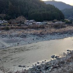 今シーズンラスト釣行 ～天竜川ルアーフライ専用区～